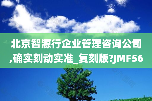 北京智源行企业管理咨询公司,确实刻动实准_复刻版?JMF56