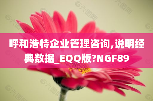 呼和浩特企业管理咨询,说明经典数据_EQQ版?NGF89