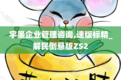 宇墨企业管理咨询,速版标精_解民倒悬版ZS2