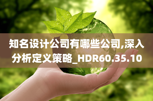 知名设计公司有哪些公司,深入分析定义策略_HDR60.35.10