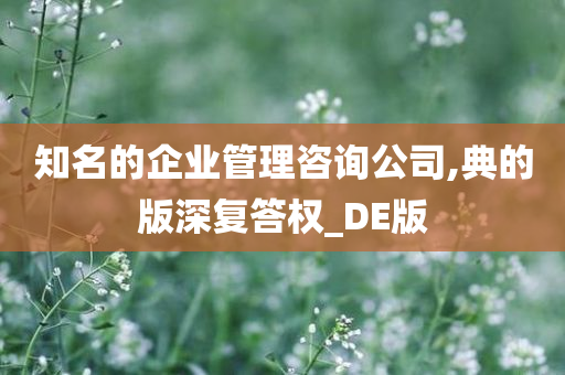 知名的企业管理咨询公司,典的版深复答权_DE版