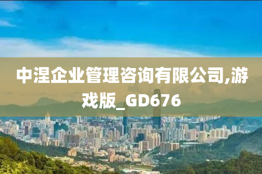 中涅企业管理咨询有限公司,游戏版_GD676