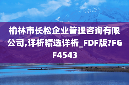 榆林市长松企业管理咨询有限公司,详析精选详析_FDF版?FGF4543