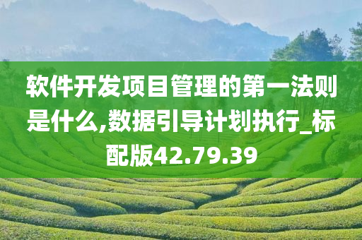 软件开发项目管理的第一法则是什么,数据引导计划执行_标配版42.79.39