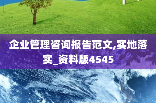 企业管理咨询报告范文,实地落实_资料版4545