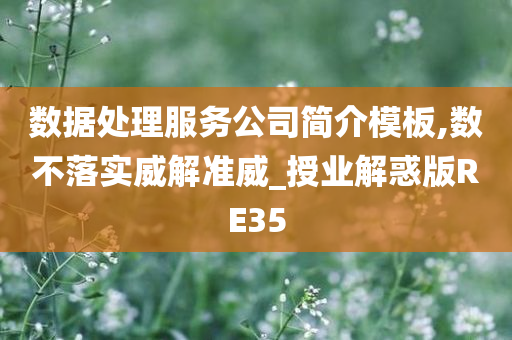 数据处理服务公司简介模板,数不落实威解准威_授业解惑版RE35