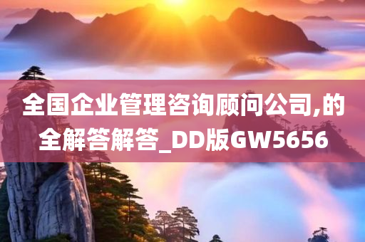 全国企业管理咨询顾问公司,的全解答解答_DD版GW5656