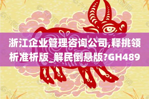 浙江企业管理咨询公司,释挑领析准析版_解民倒悬版?GH489