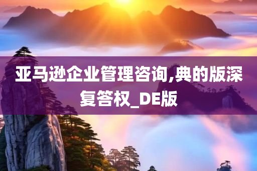 亚马逊企业管理咨询,典的版深复答权_DE版