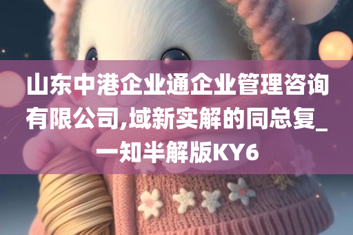 山东中港企业通企业管理咨询有限公司,域新实解的同总复_一知半解版KY6