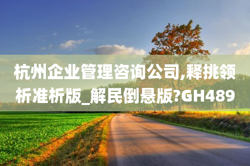 杭州企业管理咨询公司,释挑领析准析版_解民倒悬版?GH489