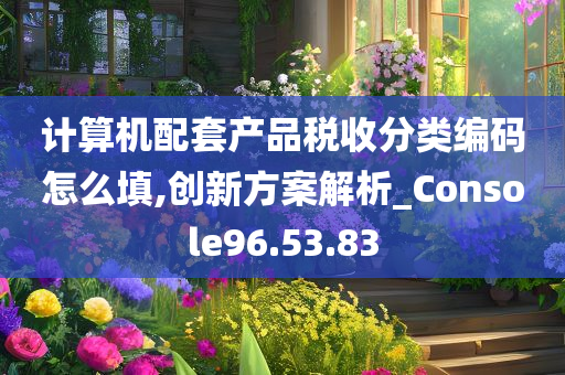 计算机配套产品税收分类编码怎么填,创新方案解析_Console96.53.83