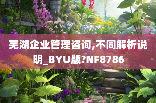 芜湖企业管理咨询,不同解析说明_BYU版?NF8786