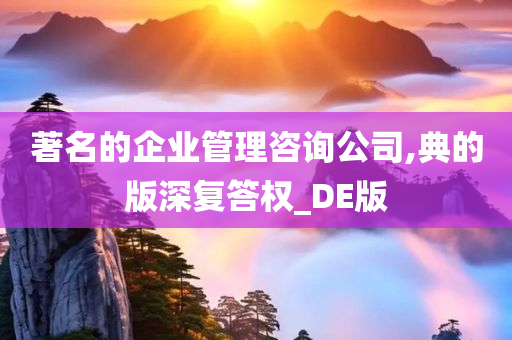 著名的企业管理咨询公司,典的版深复答权_DE版