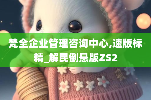 梵全企业管理咨询中心,速版标精_解民倒悬版ZS2