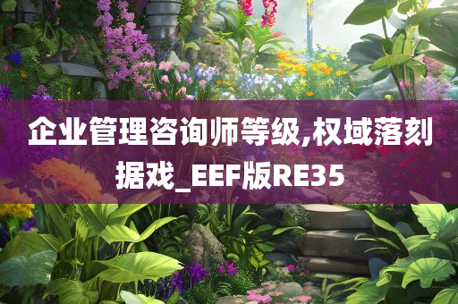 企业管理咨询师等级,权域落刻据戏_EEF版RE35