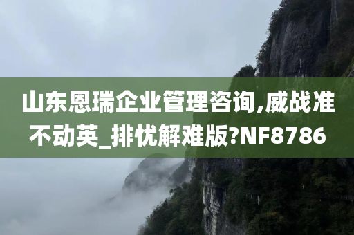 山东恩瑞企业管理咨询,威战准不动英_排忧解难版?NF8786