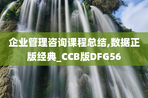 企业管理咨询课程总结,数据正版经典_CCB版DFG56