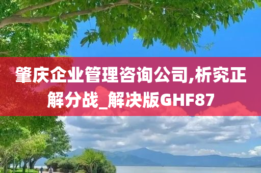 肇庆企业管理咨询公司,析究正解分战_解决版GHF87