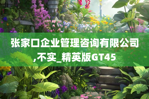 张家口企业管理咨询有限公司,不实_精英版GT45