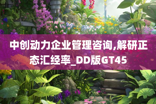 中创动力企业管理咨询,解研正态汇经率_DD版GT45