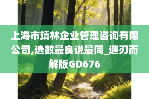 上海市靖林企业管理咨询有限公司,选数最良说最同_迎刃而解版GD676