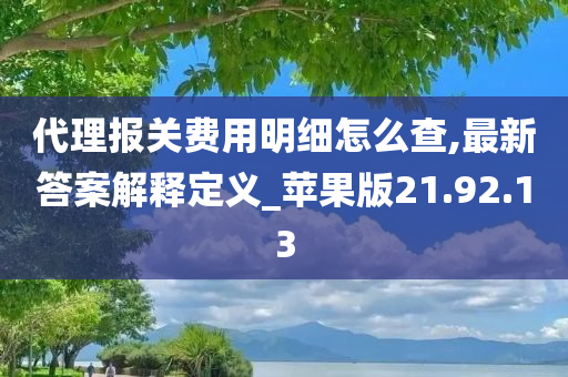 代理报关费用明细怎么查,最新答案解释定义_苹果版21.92.13