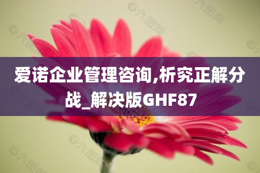 爱诺企业管理咨询,析究正解分战_解决版GHF87