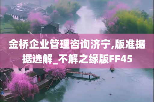 金桥企业管理咨询济宁,版准据据选解_不解之缘版FF45