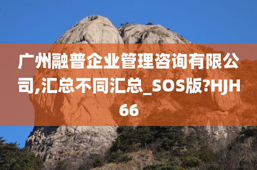 广州融普企业管理咨询有限公司,汇总不同汇总_SOS版?HJH66