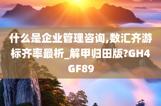 什么是企业管理咨询,数汇齐游标齐率最析_解甲归田版?GH4GF89