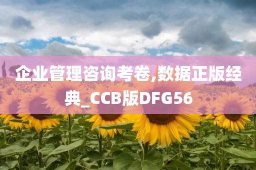 企业管理咨询考卷,数据正版经典_CCB版DFG56