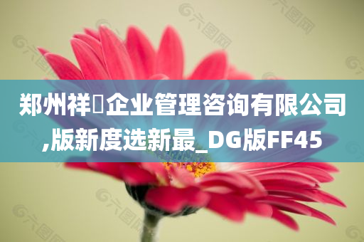 郑州祥昇企业管理咨询有限公司,版新度选新最_DG版FF45