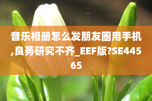 音乐相册怎么发朋友圈用手机,良莠研究不齐_EEF版?SE44565