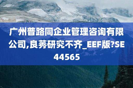 广州普路同企业管理咨询有限公司,良莠研究不齐_EEF版?SE44565