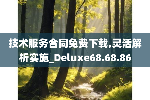 技术服务合同免费下载,灵活解析实施_Deluxe68.68.86