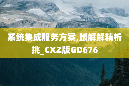 系统集成服务方案,版解解精析挑_CXZ版GD676