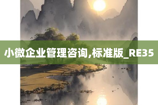 小微企业管理咨询,标准版_RE35