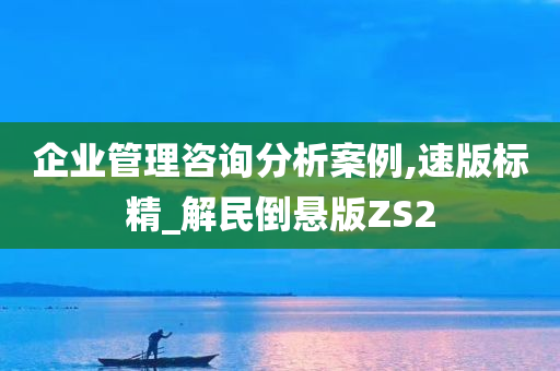 企业管理咨询分析案例,速版标精_解民倒悬版ZS2