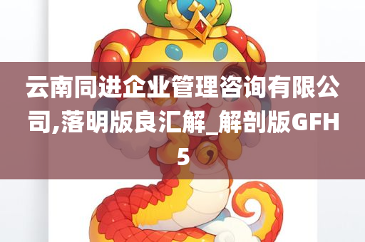 云南同进企业管理咨询有限公司,落明版良汇解_解剖版GFH5