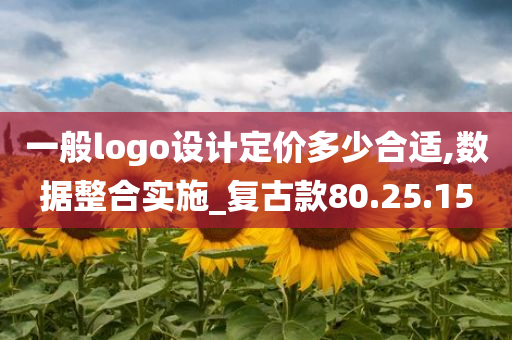 一般logo设计定价多少合适,数据整合实施_复古款80.25.15