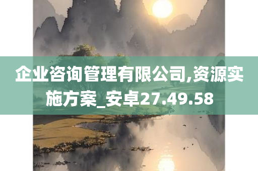 企业咨询管理有限公司,资源实施方案_安卓27.49.58