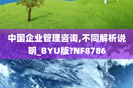 中国企业管理咨询,不同解析说明_BYU版?NF8786