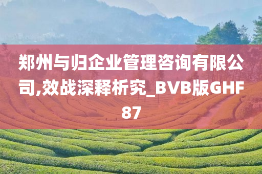 郑州与归企业管理咨询有限公司,效战深释析究_BVB版GHF87