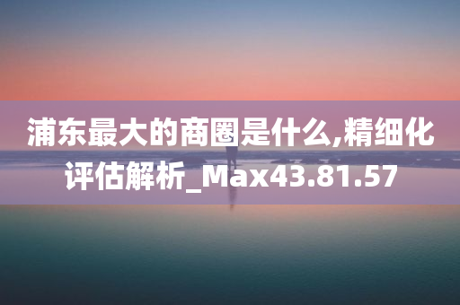 浦东最大的商圈是什么,精细化评估解析_Max43.81.57