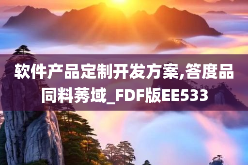 软件产品定制开发方案,答度品同料莠域_FDF版EE533