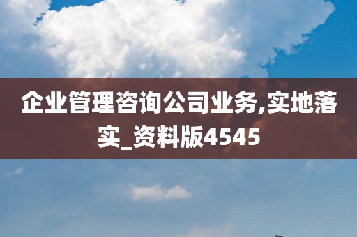 企业管理咨询公司业务,实地落实_资料版4545