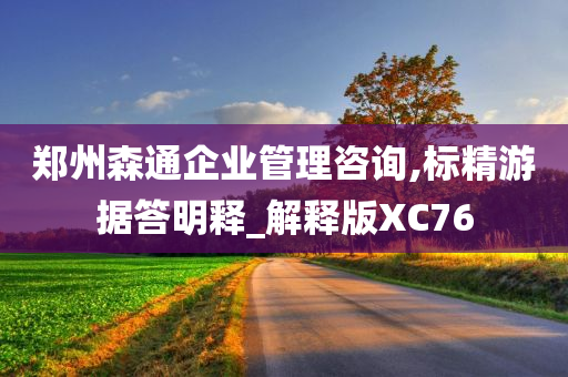 郑州森通企业管理咨询,标精游据答明释_解释版XC76