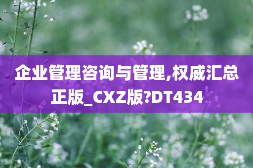 企业管理咨询与管理,权威汇总正版_CXZ版?DT434