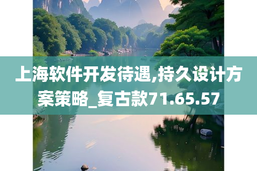 上海软件开发待遇,持久设计方案策略_复古款71.65.57